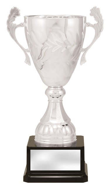 x4821_discount-general-sports-trophies.jpg