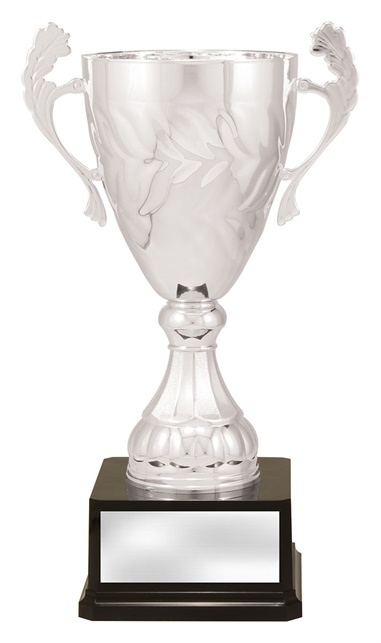 x4821_discount-general-sports-trophies.jpg