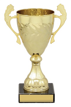 x4827_discount-general-sports-trophies.jpg