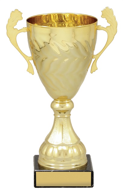 x4827_discount-general-sports-trophies.jpg