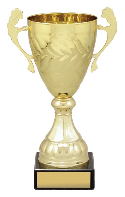 x4827_discount-general-sports-trophies.jpg