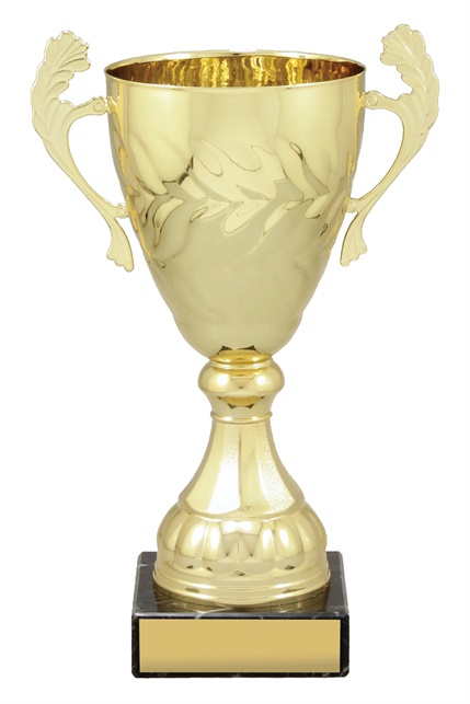 x4827_discount-general-sports-trophies.jpg