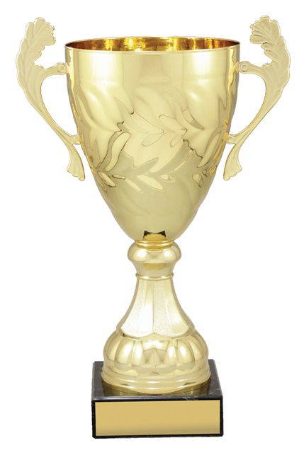 x4827_discount-general-sports-trophies.jpg