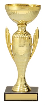 x4833_discount-general-sports-trophies.jpg