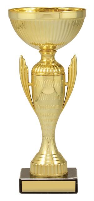x4833_discount-general-sports-trophies.jpg