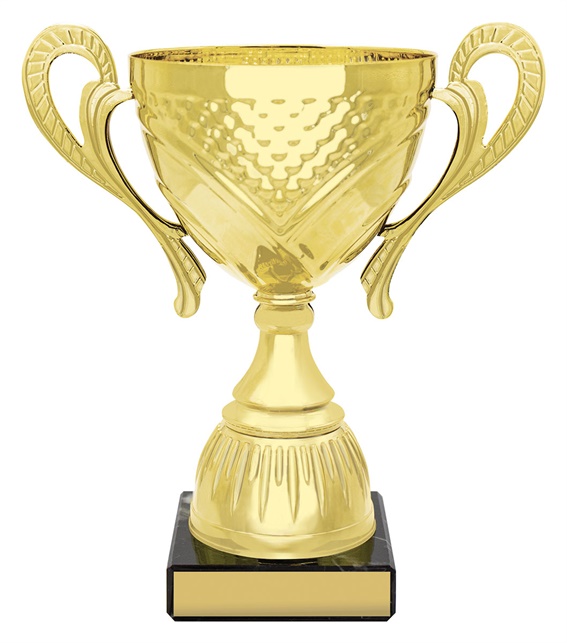 x4839_discount-general-sports-trophies.jpg