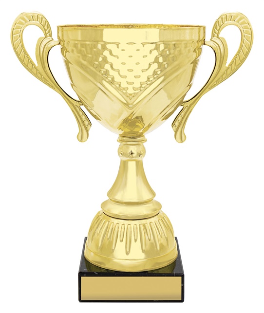 x4839_discount-general-sports-trophies.jpg