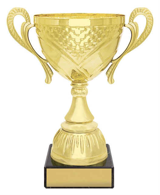 x4839_discount-general-sports-trophies.jpg