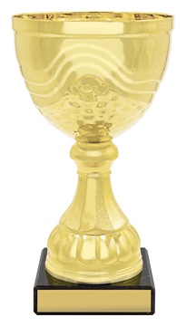 x4843_discount-general-sports-trophies.jpg
