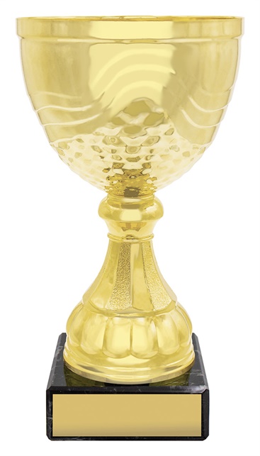 x4843_discount-general-sports-trophies.jpg