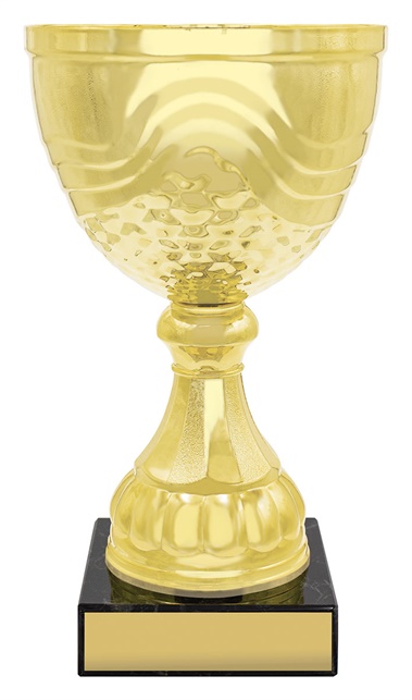 x4843_discount-general-sports-trophies.jpg