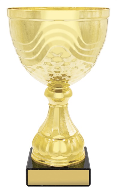 x4843_discount-general-sports-trophies.jpg