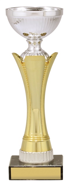 x4855_discount-general-sports-trophies.jpg