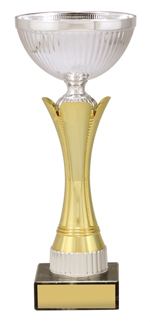 x4855_discount-general-sports-trophies.jpg