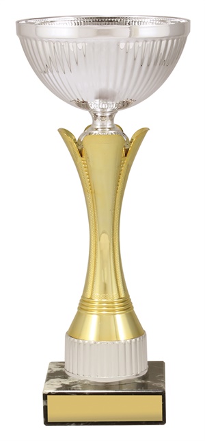 x4855_discount-general-sports-trophies.jpg