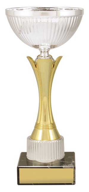 x4855_discount-general-sports-trophies.jpg