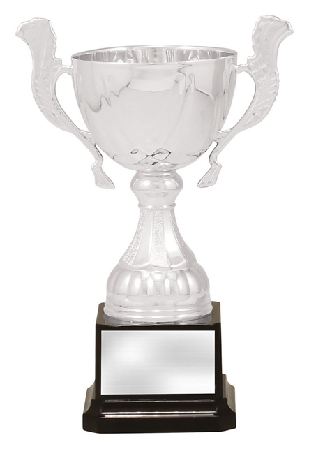 x4881_discount-general-sports-trophies.jpg
