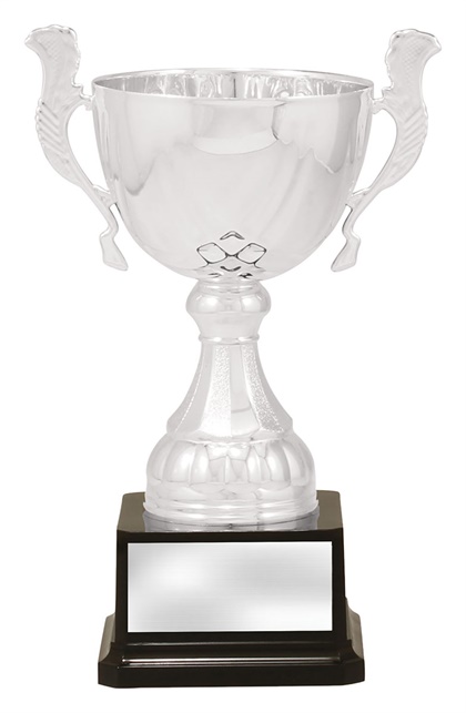 x4881_discount-general-sports-trophies.jpg