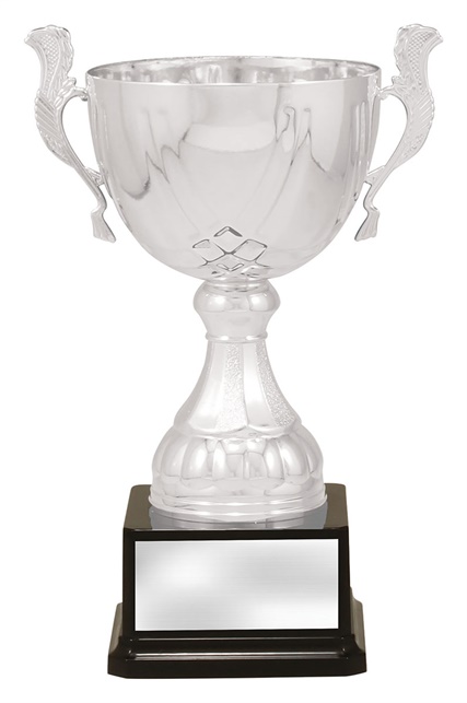 x4881_discount-general-sports-trophies.jpg