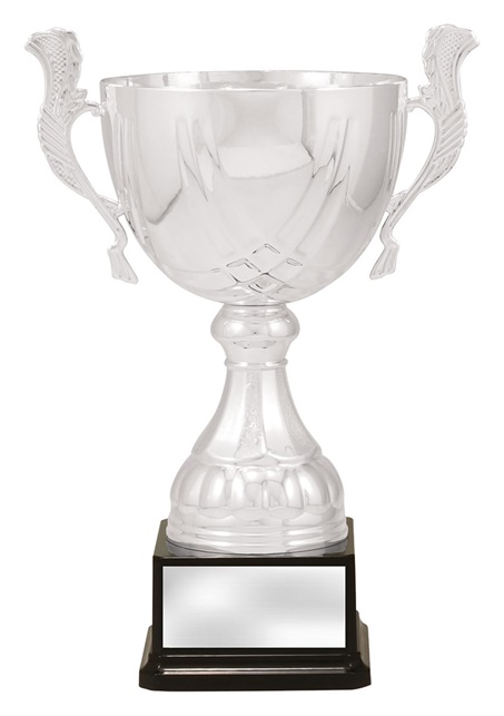 x4881_discount-general-sports-trophies.jpg