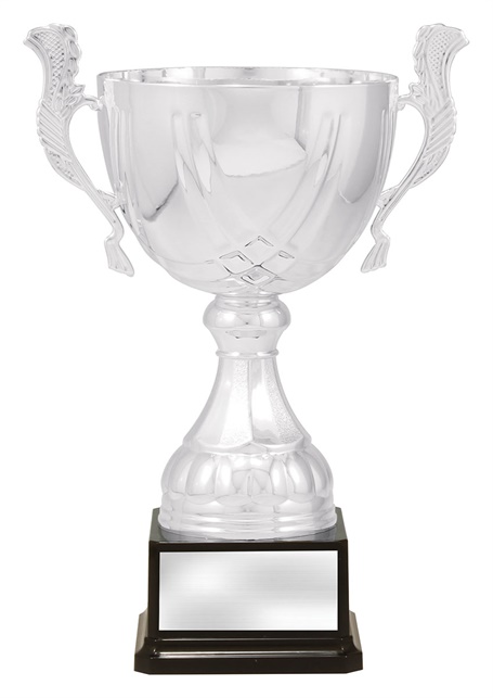 x4881_discount-general-sports-trophies.jpg
