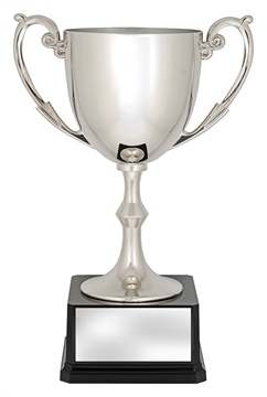 x4909_discount-general-sports-trophies.jpg