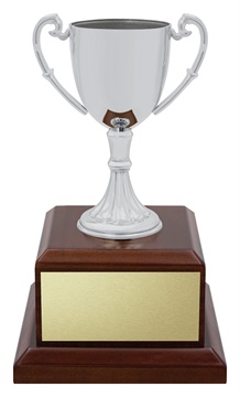 x4914_discount-general-sports-trophies.jpg