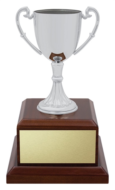 x4914_discount-general-sports-trophies.jpg