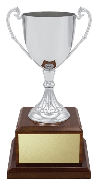x4914_discount-general-sports-trophies.jpg