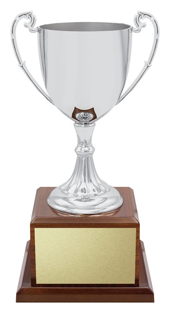 x4914_discount-general-sports-trophies.jpg