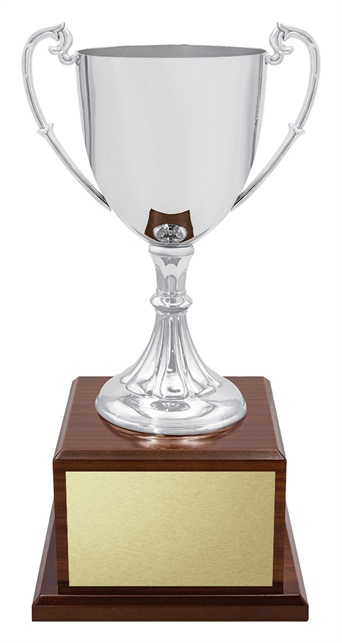 x4914_discount-general-sports-trophies.jpg