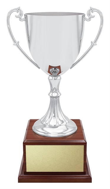 x4914_discount-general-sports-trophies.jpg