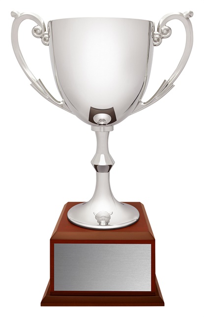 x4919_discount-general-sports-trophies.jpg