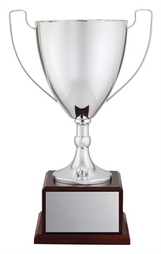x4924_discount-general-sports-trophies.jpg