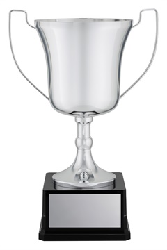 x4931_discount-general-sports-trophies.jpg