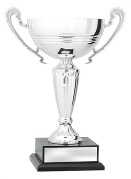 x4935_discount-general-sports-trophies.jpg