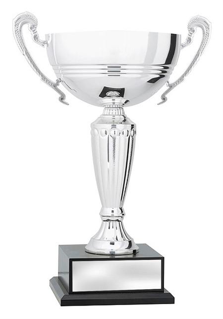 x4935_discount-general-sports-trophies.jpg