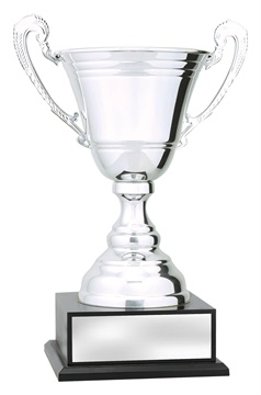 x4940_discount-general-sports-trophies.jpg