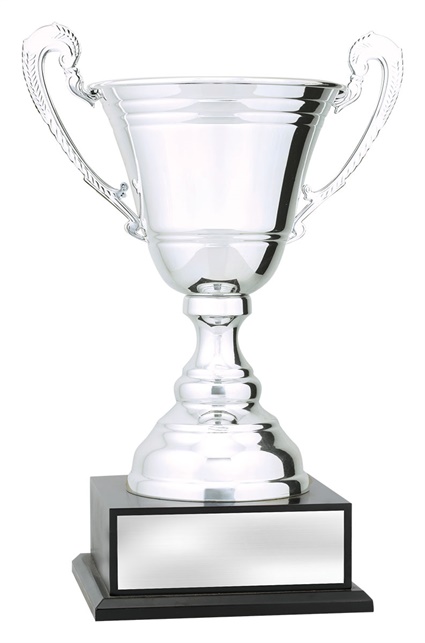 x4940_discount-general-sports-trophies.jpg