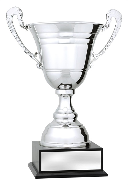 x4940_discount-general-sports-trophies.jpg