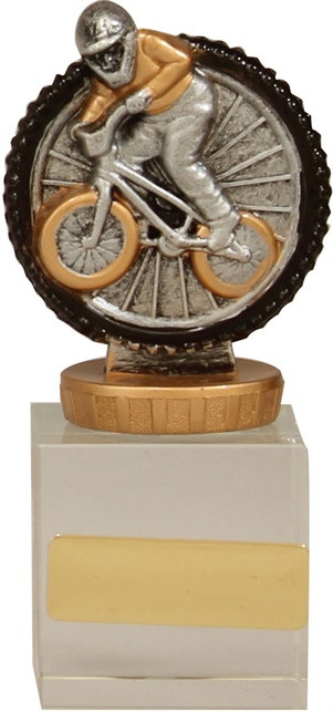 x7188_discount-bmx-trophies.jpg