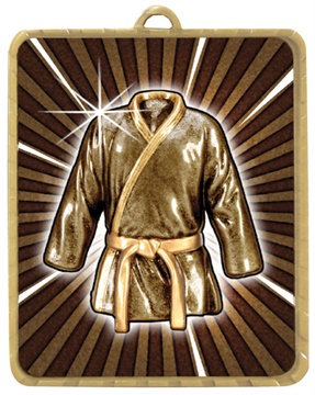 x7398_discount-martial-arts-trophies.jpg