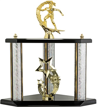 x8186_discount-perpetual-trophies.jpg