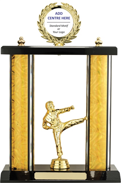 x9181_discount-martial-arts-trophies.jpg