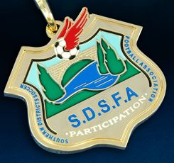 sdsfashieldmedal.jpg