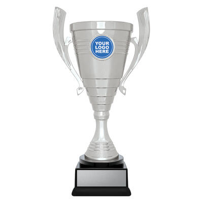 CUP213