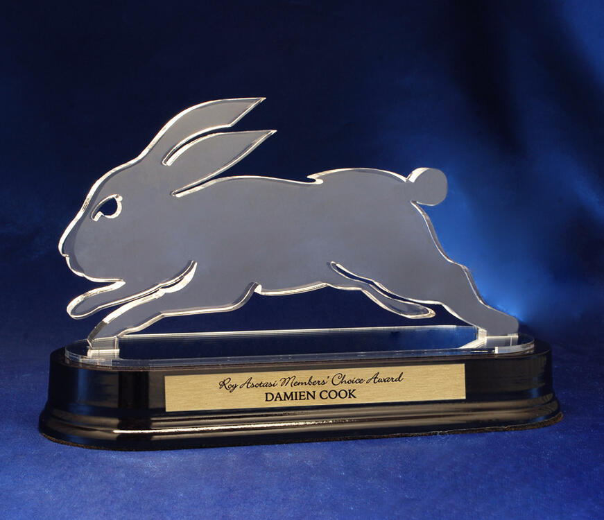 rabbitohs-acrylic-custom-2