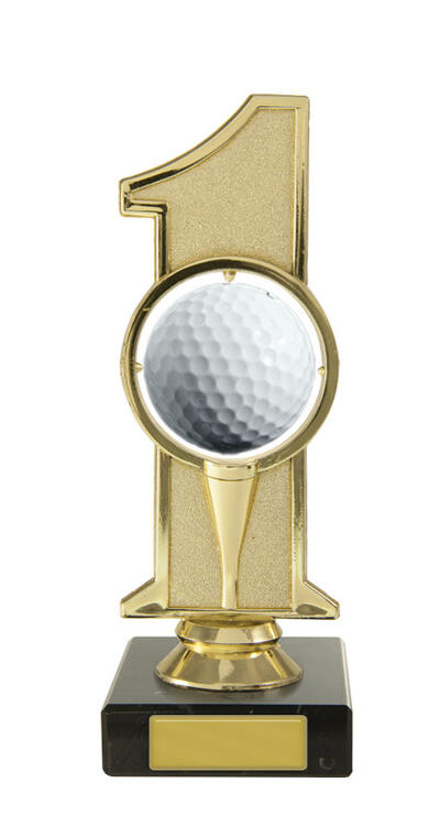 S24-13909 Hole in One