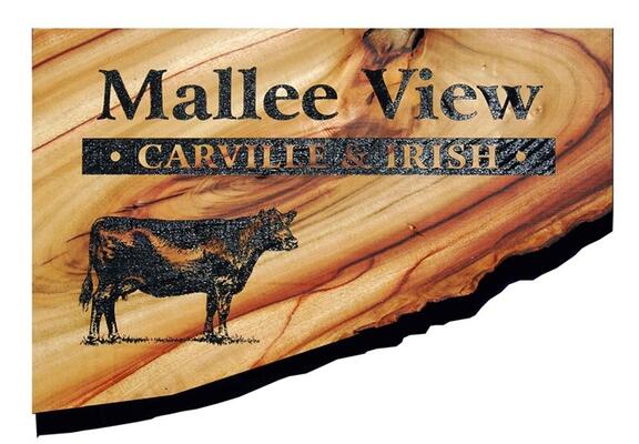 Timber Sign Natural Edge